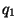 $ q_{1}$